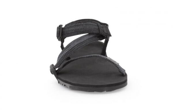 Z-Trail EV - Men - Xero Shoes