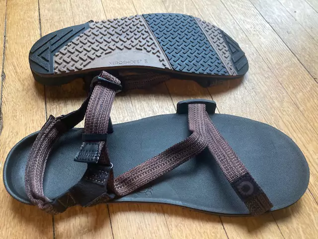 xero shoes z-trail outsole image from up