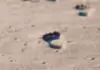 barefoot running in the send