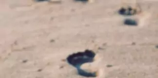 barefoot running in the send
